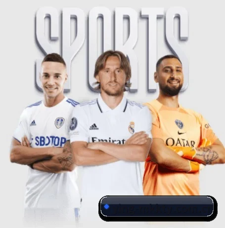 ying-mkkty.com.cn的故事 - 体育资讯内容服务 | MKSPORT